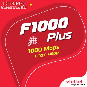 Mạng internet doanh nhiệp F1000Plus Viettel