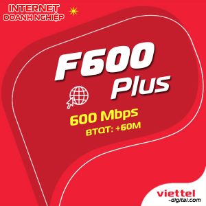 Mạng internet doanh nhiệp F600Plus Viettel