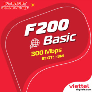 Mạng internet doanh nghiệp F200Basic Viettel