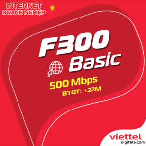 Mạng internet doanh nghiệp F300Basic Viettel