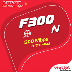Mạng internet doanh nghiệp F300N Viettel