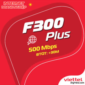 Mạng internet doanh nghiệp F300Plus Viettel