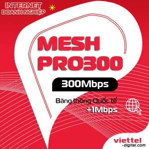 Mạng internet doanh nhiệp MeshPro300 Viettel