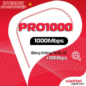 Mạng internet doanh nhiệp Pro1000 Viettel