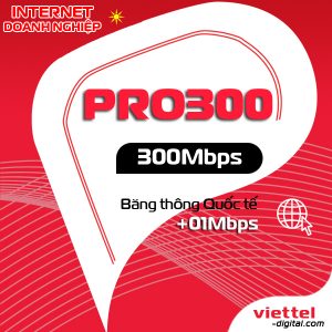 Mạng internet doanh nhiệp Pro300 Viettel